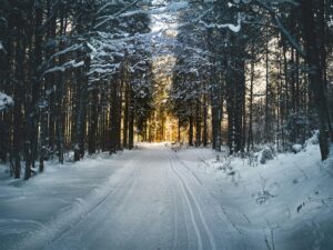 Stunning snowy path through a winter forest in Ebensee, Austria, with sunlight filtering through trees.